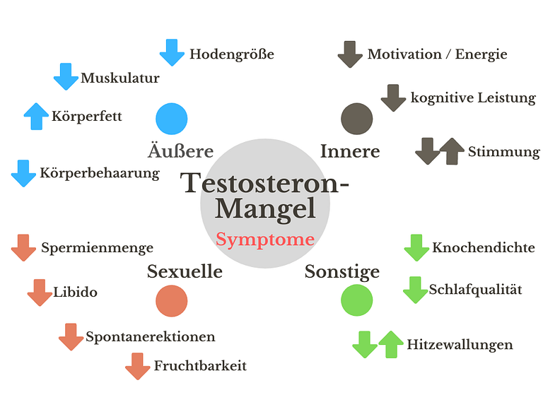Testosteronmangel Symptome
